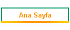 Ana Sayfa