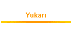 Yukarı